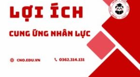 LỢI ÍCH CỦA DỊCH VỤ CUNG ỨNG NGUỒN NHÂN LỰC