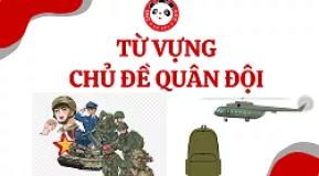 Dịch vụ đào tạo chuyên môn