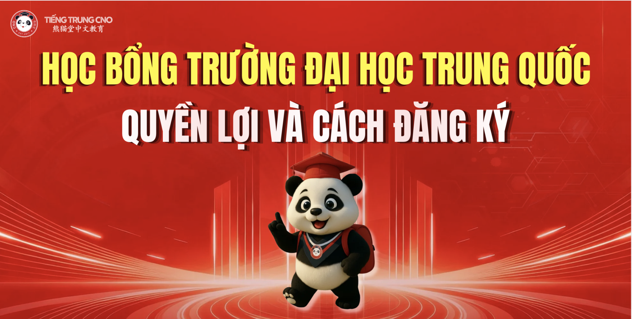Học bổng trường đại học Trung Quốc: Quyền lợi và cách đăng ký