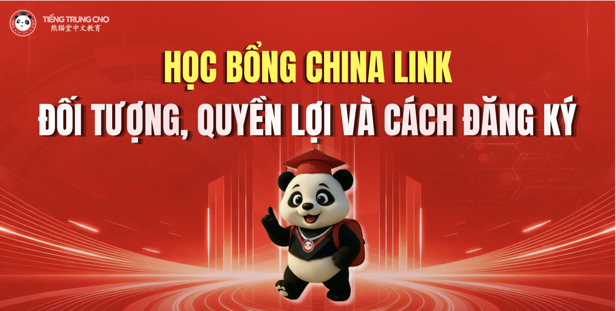 Học bổng China Link: Đối tượng, quyền lợi và cách đăng ký
