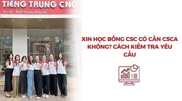 Xin học bổng CSC có cần CSCA không? Cách kiểm tra yêu cầu