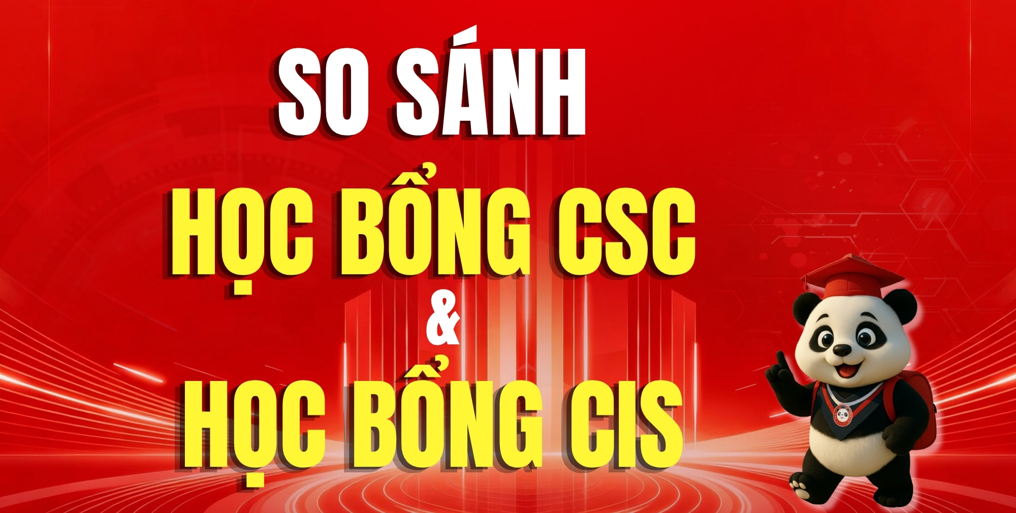 Học bổng CSC Và Học bổng CIS Khác Nhau Thế Nào? So Sánh 2 Học Bổng Lớn Nhất Trung Quốc