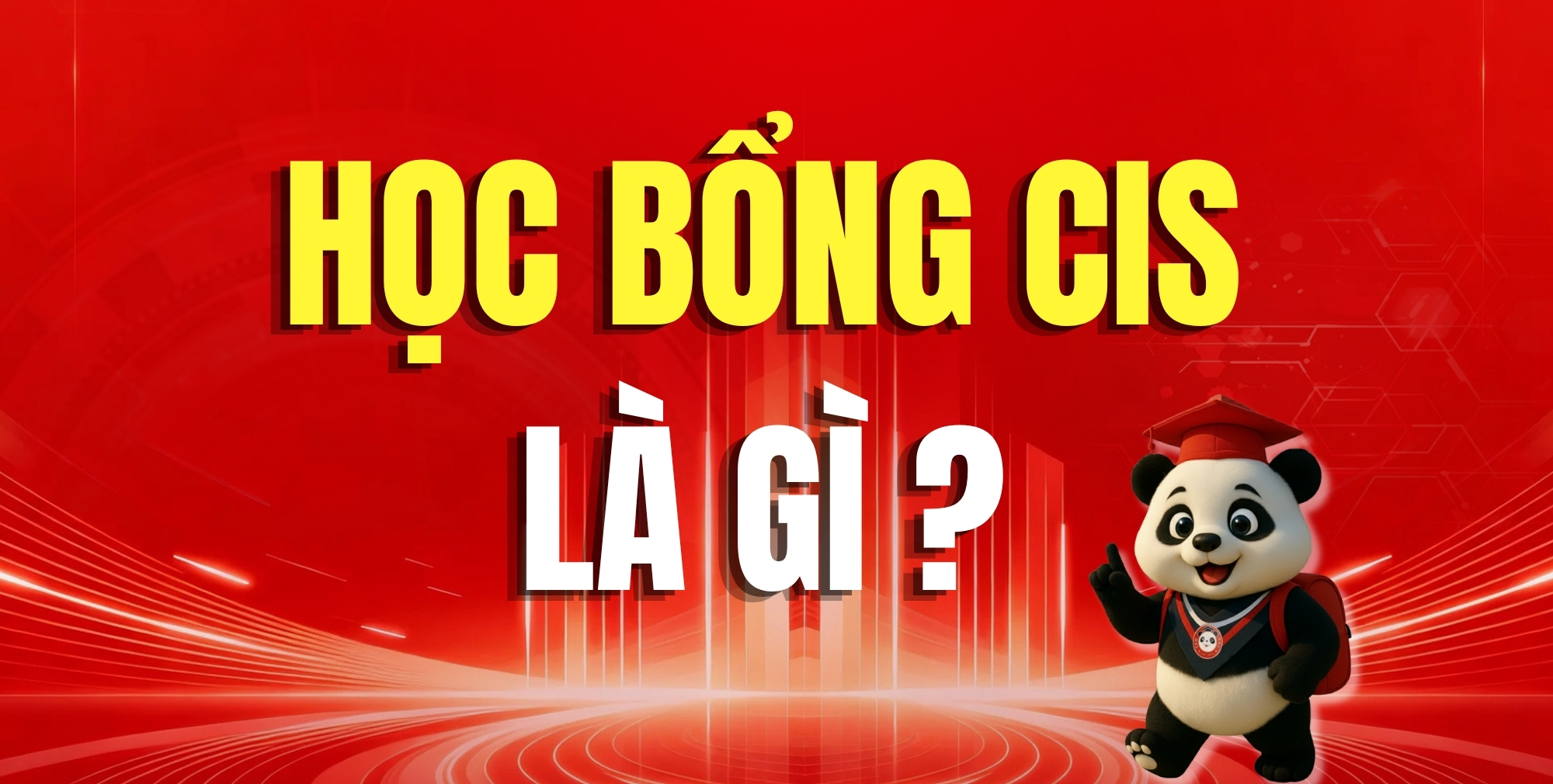 Học bổng CIS Là Gì Trong Du Học Trung Quốc? Toàn Bộ Thông Tin Bạn Cần Biết