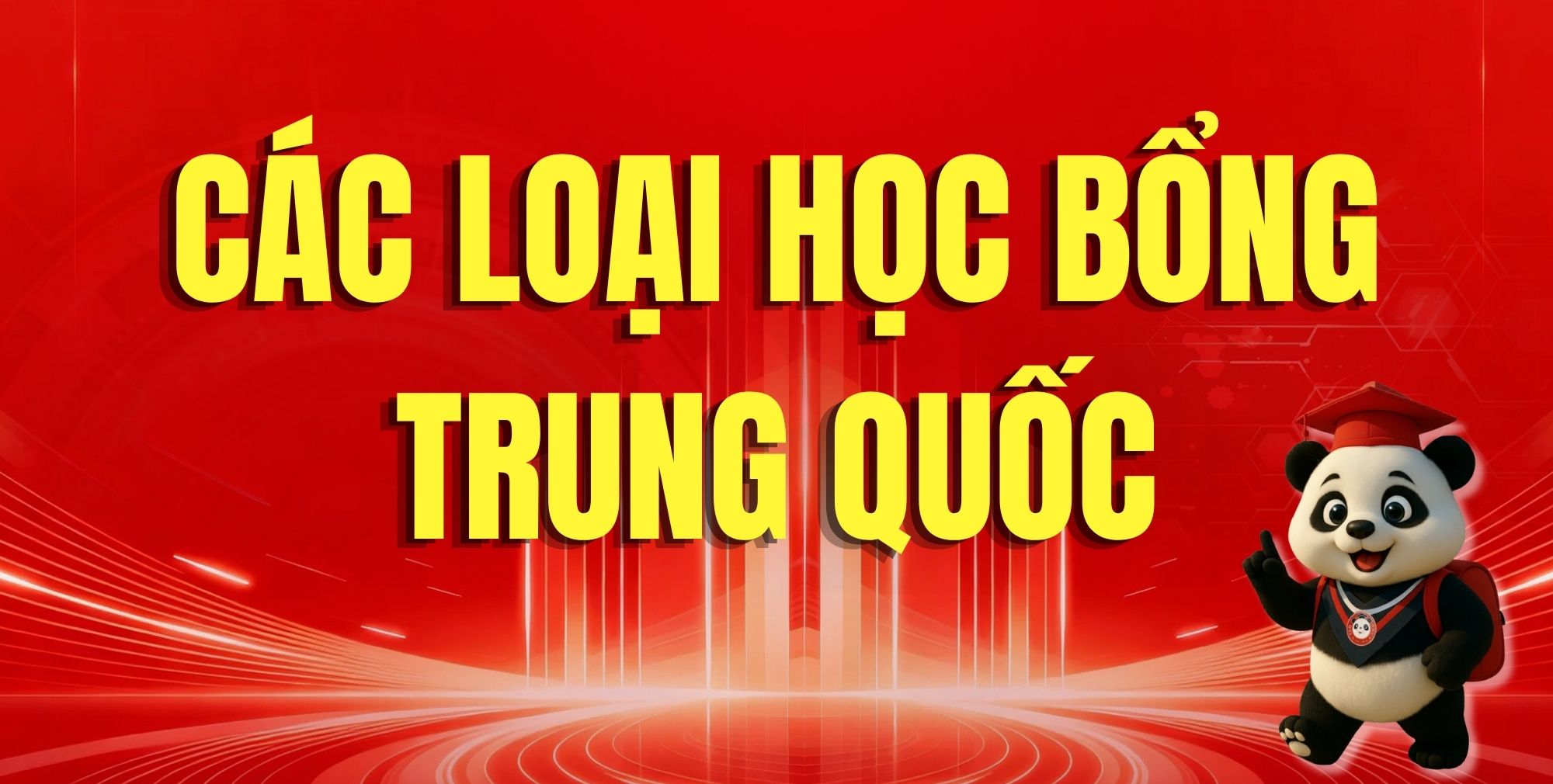 Các Loại Học Bổng Trung Quốc Phổ Biến Dành Cho Sinh Viên Quốc Tế